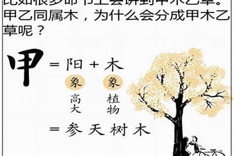 甲木癸水|八字十天干詳解——甲木